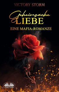 Geheimsache Liebe - Eine Mafia-romanze - Victory Storm - ebook