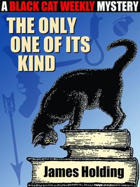 The Only One of Its Kind - James Holding - ebook
