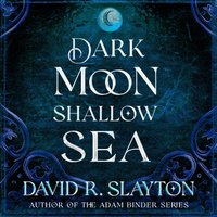 Dark Moon, Shallow Sea - David R. Slayton - audiobook