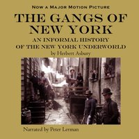 Gangs of New York - Herbert Asbury - audiobook