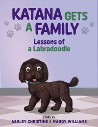 Katana Gets a Home - Ashley Christine - ebook