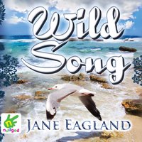 Wild Song - Jane Eagland - audiobook