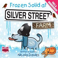 Frozen Solid at Silver Street Farm - Nicola Davies - audiobook