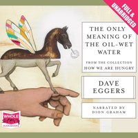 The Only Meaning of the Oil-Wet Water - Dave Eggers - audiobook