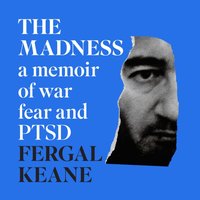 Madness - Fergal Keane - audiobook
