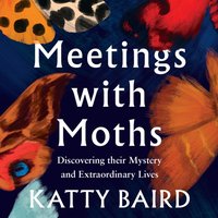 Meetings with Moths - Katty Baird - audiobook