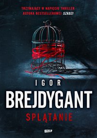 Splątanie - Igor Brejdygant - ebook