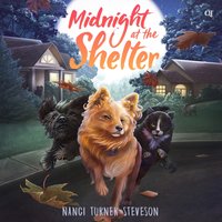 Midnight at the Shelter - Nanci Turner Steveson - audiobook