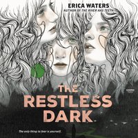 Restless Dark - Erica Waters - audiobook