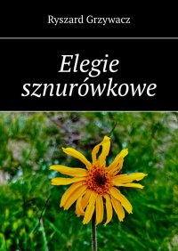 Elegie sznurówkowe - Ryszard Grzywacz - ebook