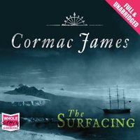 The Surfacing - Cormac James - audiobook