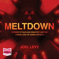 Meltdown - Joel Levy - audiobook