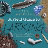 A Field Guide to Larking - Lara Maiklem - audiobook