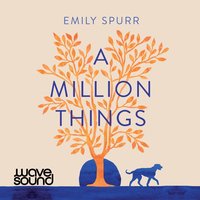 A Million Things - Emily Spurr - audiobook
