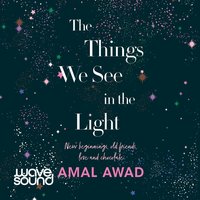 The Things We See In The Light - Amal Awad - audiobook