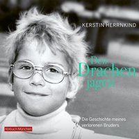 Den Drachen jagen - Kerstin Herrnkind - audiobook