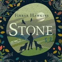 Stone - Finbar Hawkins - audiobook