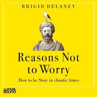 Reasons not to Worry - Brigid Delaney - audiobook
