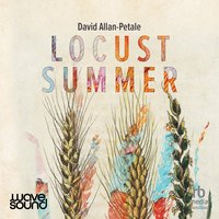 Locust Summer - David Allan-Petale - audiobook