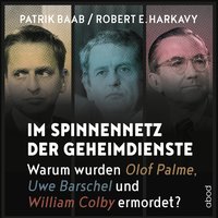 Im Spinnennetz der Geheimdienste - Patrik Baab - audiobook