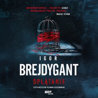 Splątanie - Igor Brejdygant - audiobook