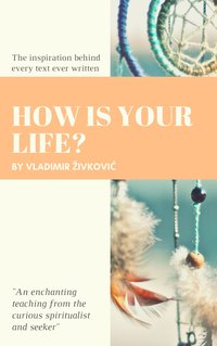 How Is Your Life? - Vladimir Živković - ebook