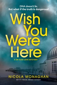 Wish You Were Here - Nicola Monaghan - ebook