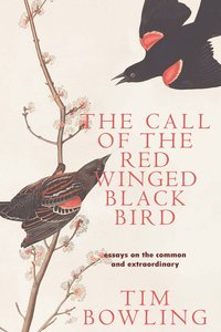 The Call of the Red-Winged Blackbird - Tim Bowling - ebook