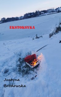 Ekstoksyka - Justyna B. - ebook