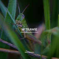 W trawie – album makrofotografii dla dzieci - Oliwia Miłkowska - ebook