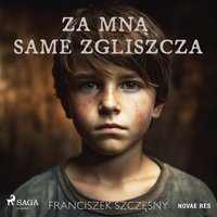 Za mną same zgliszcza - Franciszek Szczęsny - audiobook