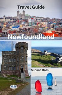Newfoundland Travel Guide - Suhana Rossi - ebook