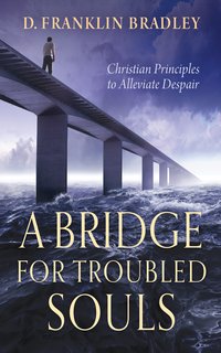 A Bridge For Troubled Souls - D. Franklin Bradley - ebook