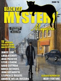 Black Cat Mystery Magazine. Number 14 - Barb Goffman - ebook