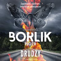 Drudzy - Piotr Borlik - audiobook