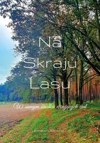 Na skraju lasu. W samym środku wirujących ciał. - Emilian Amore - ebook