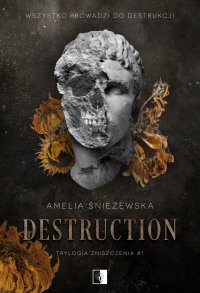 Destruction - Amelia Śnieżewska - ebook