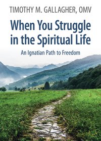 When You Struggle in the Spiritual Life - Timothy M. Gallagher - ebook