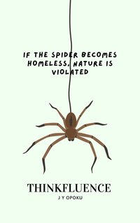 If the Spider Becomes Homeless, Nature Is Violated - J Y Opoku - ebook