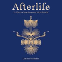 Afterlife - Daniel Pinchbeck - audiobook