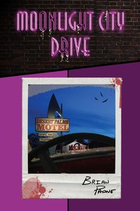 Moonlight City Drive - Brian Paone - ebook