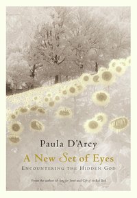 A New Set of Eyes - Paula D'Arcy - ebook