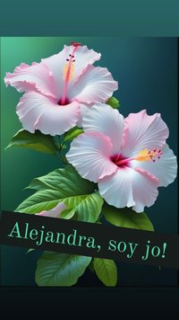 Alejandra, soy jo!   Aleksandra, to ja! - Aleksandra Adamus - ebook