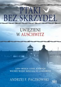 Ptaki bez skrzydeł - Andrzej F. Paczkowski - ebook