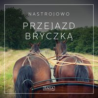 Nastrojowo. Przejazd Bryczką - Rasmus Broe - audiobook