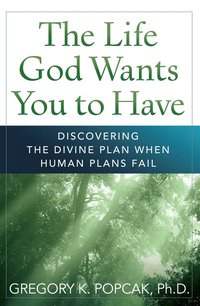 Life God Wants You to Have - Gregory K. Popcak - ebook