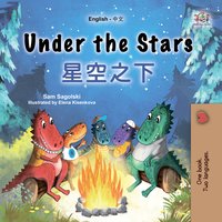 Under the Stars 星空之下 - Sam Sagolski - ebook