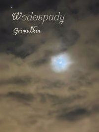 Wodospady - Grimalkin - ebook