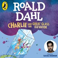 Charlie and the Great Glass Elevator - Quentin Blake - audiobook