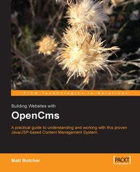Building Websites with OpenCms - Alexander Kandzior - ebook